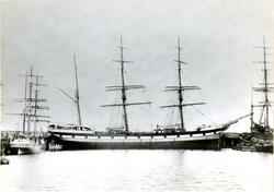 Bark 'Apollo' (b. 1884, Wm. Gray & Co., Hartlepool, England)