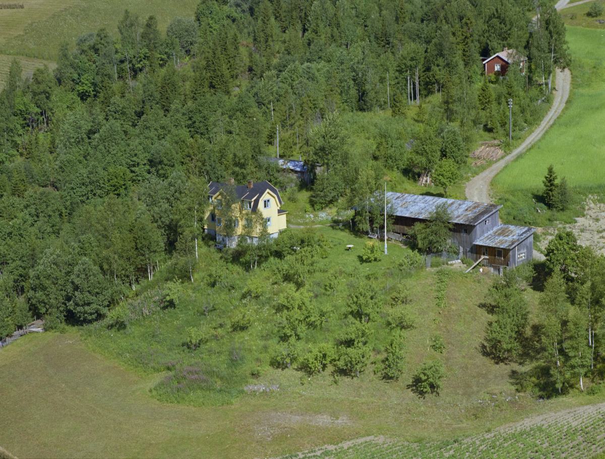 Saksumdal, stort gult hus med valmet tak. Bærbusker, skog. Tekst bak på bildet (Sagbruk)