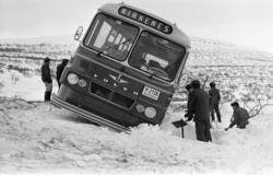 Busshavari i Paddeby, like vest for elva.  Bildet er tatt  c