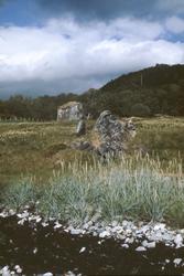 Utsikt fra fjæra. Hus og skogkledt ås i bakgrunnen.