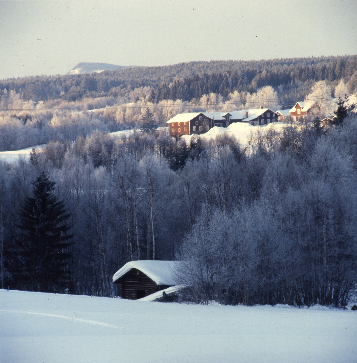 Mitt i ett snötäckt landskap ligger en gård och i förgrunden en lada bland träden.
