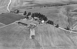 Gården Filtvedt i Eidsberg, flyfoto 4. august  1951.