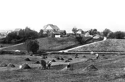 Gårdene Dæhli 42/1 & 43/1 i Spydeber med nesten felles gårds