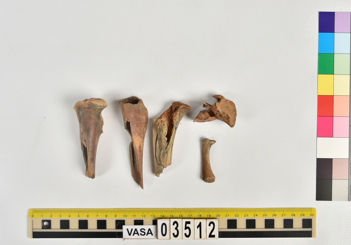 Ben från svin (Sus domesticus).
2 st. fragment av skenben (tibia).
1 st. övre fragment av lårben (proximalt fragment av femur).
1 st. sista ländkota (vertebrae lumbale).
1 st. ben (obestämt) från spädgris (subadult).