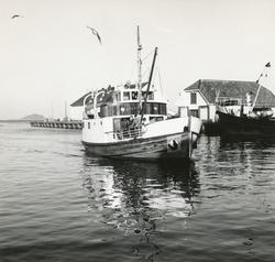 Motiv fra havna i Ålesund og rutebåten "Godøyfjell".