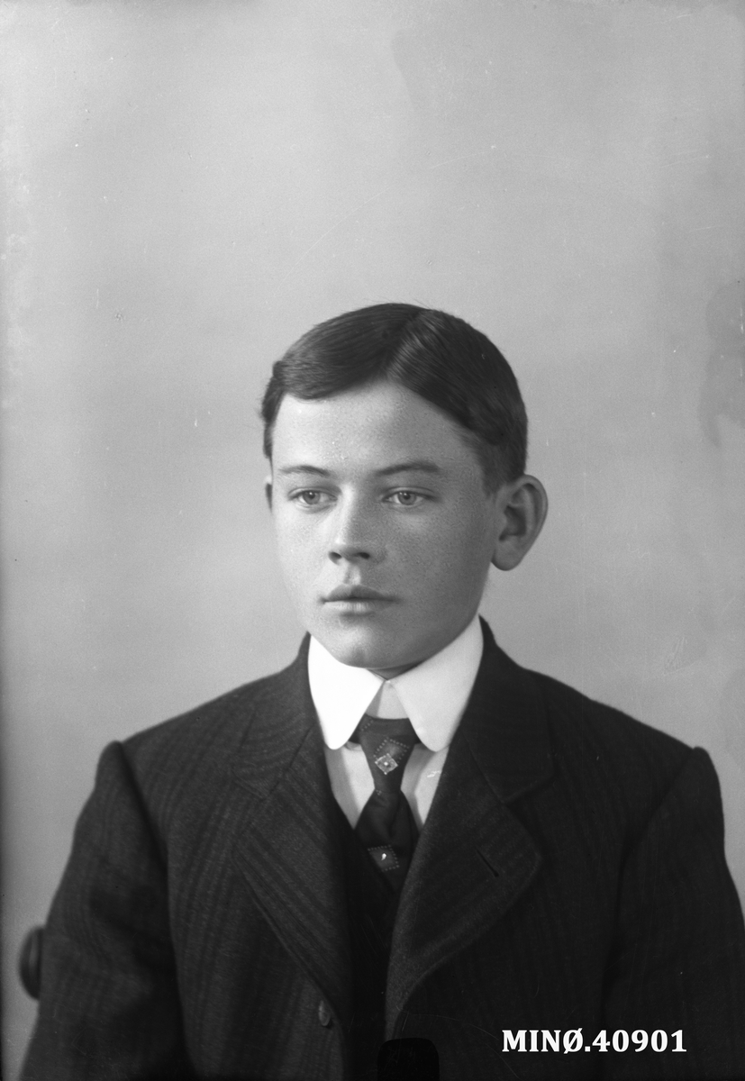 Portrett av ung mann - Valdemar Nilsen