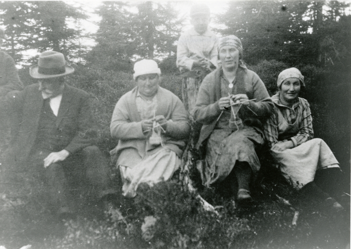 3 kvinner , en mann og en gutt sitter i skogen. To av kvinnene strikker.
