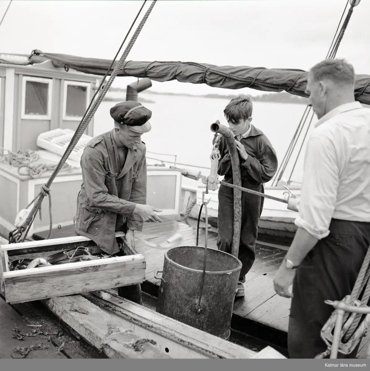 Artur Krüger, åluppköpare väger upp ål vid sin brygga.
Foto: 12/08 1954.