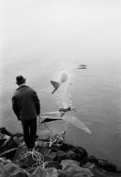 Fotoserie av fotograf Ole Zahl Mölö.  Ekkerøy 14.10.1967. Br