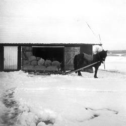 Havresekker kjøres til Taraldrud, Skiptvet  for leie-tørking