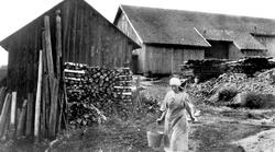 På vei til fjøsarbeid og melking -et sted i Båstad, Trøgstad