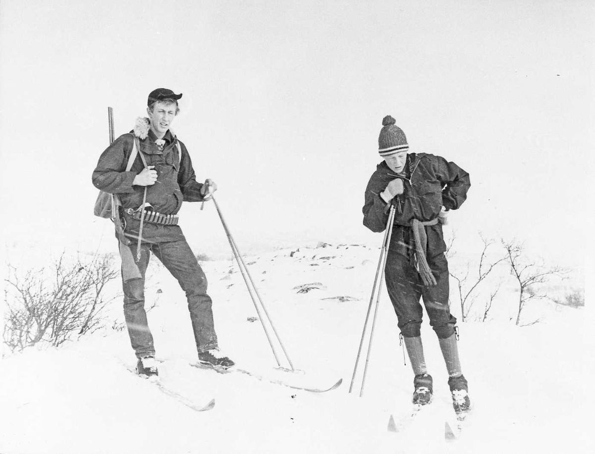 Blæsterdalen, Ståle (1951 - )