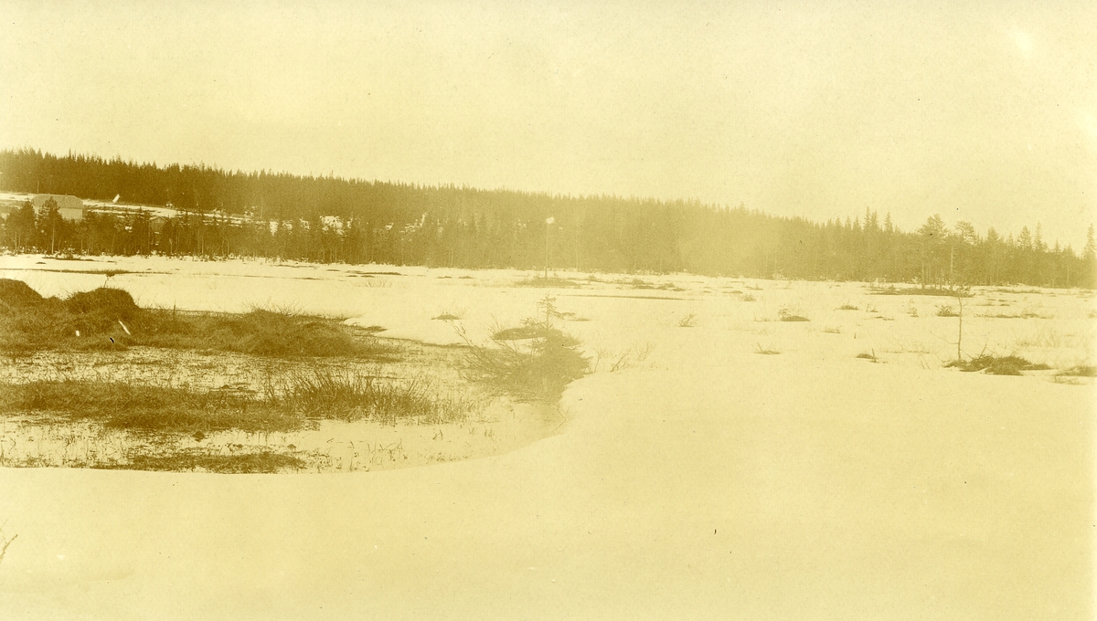 Galåsen i myra. Snø. Huset øverst til venstre: Kvile (Eier; Ragnar Kvile (1915))