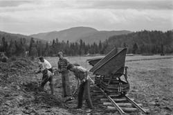 Anlegging av Kippermoen.