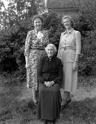 Gruppeportrett av tre kvinner - trolig en mor med sine to vo