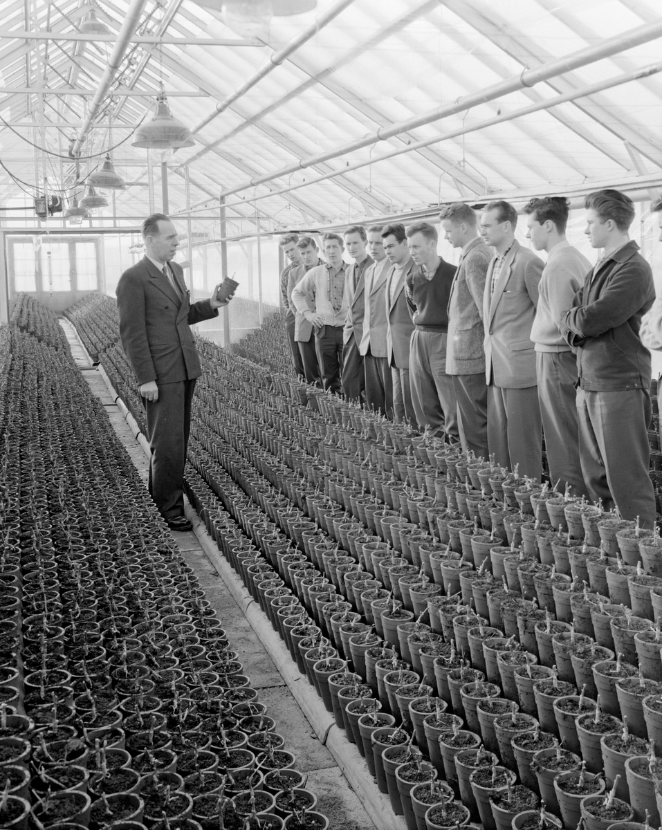 Norsk landbruks jubileumsutstilling 1959. En gruppe mennesker i et drivhus. En mann forteller til en gruppe gutter.