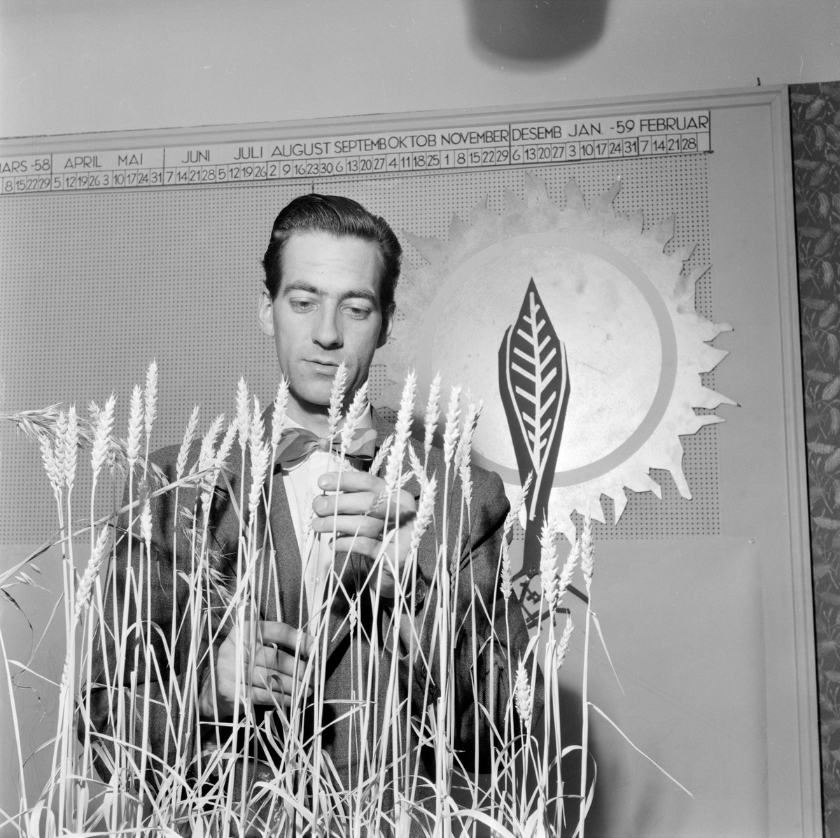 Norsk landbruks jubileumsutstilling 1959. Mann viser fram dekorasjon av kornaks.
