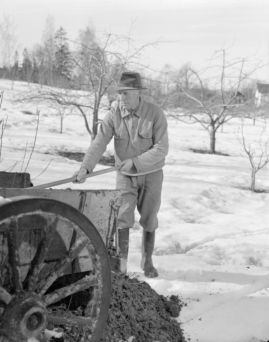 Norsk landbruks jubileumsutstilling 1959. Gårdsarbeider med kjerre, arbeid på jordet, vinterlandskap.