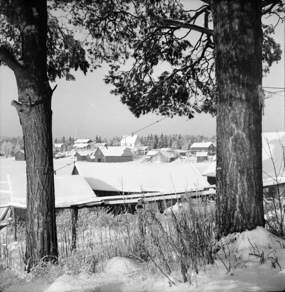 Vinterbilder
Skärså 1955
