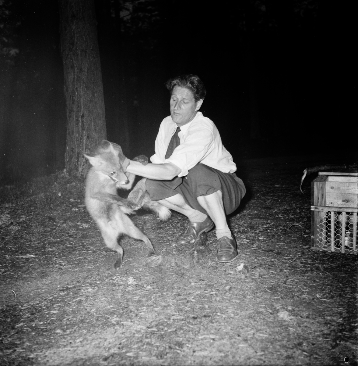 Styrelsen jaktvårdsföreningen i Gävleborg.
1955