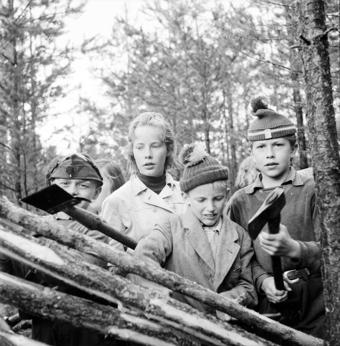 Växbo,
Barn sköter skolskog,
Juni 1956