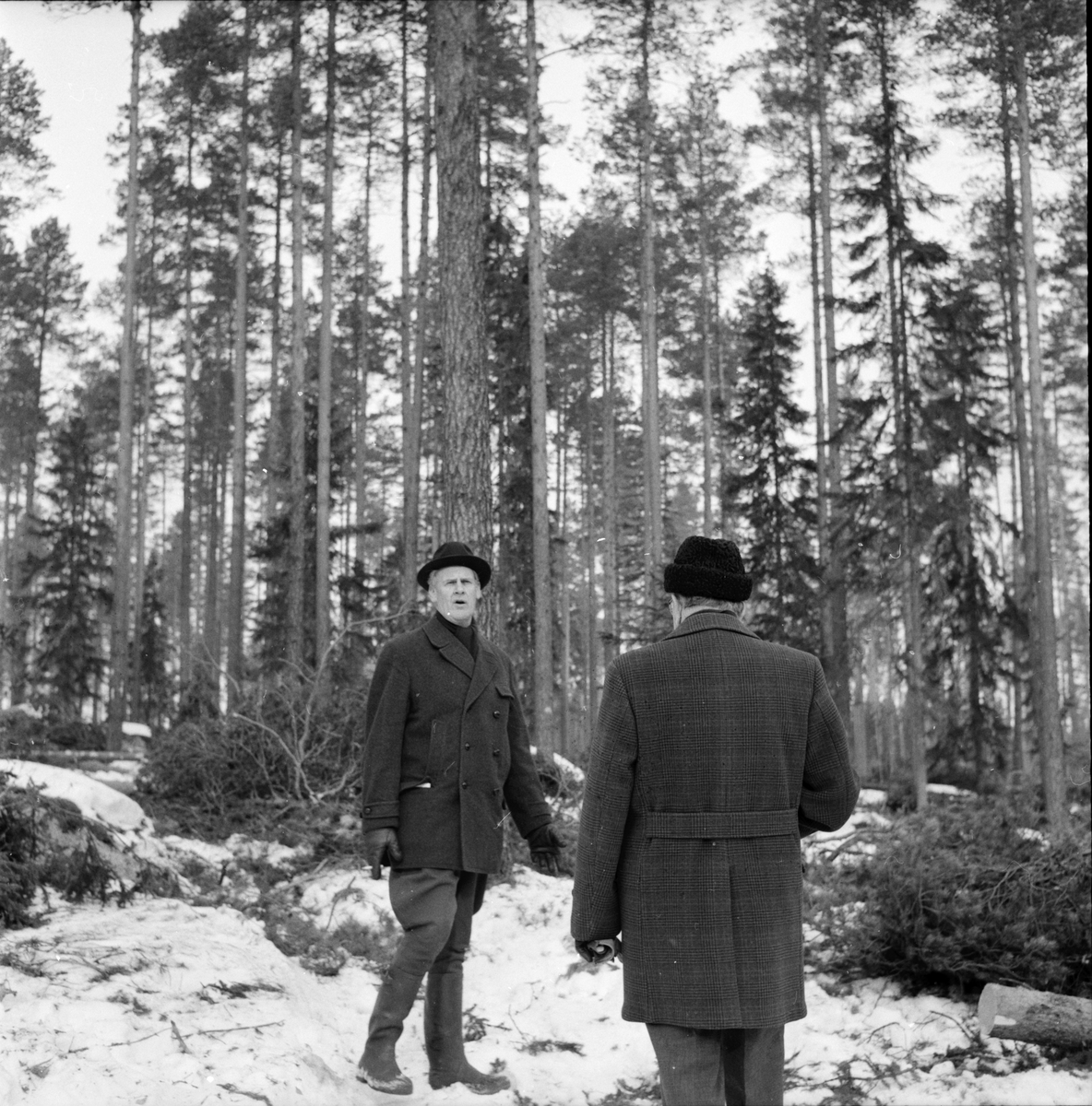 Kilafors bruk,
Besök i skogen,
21 Mars 1963