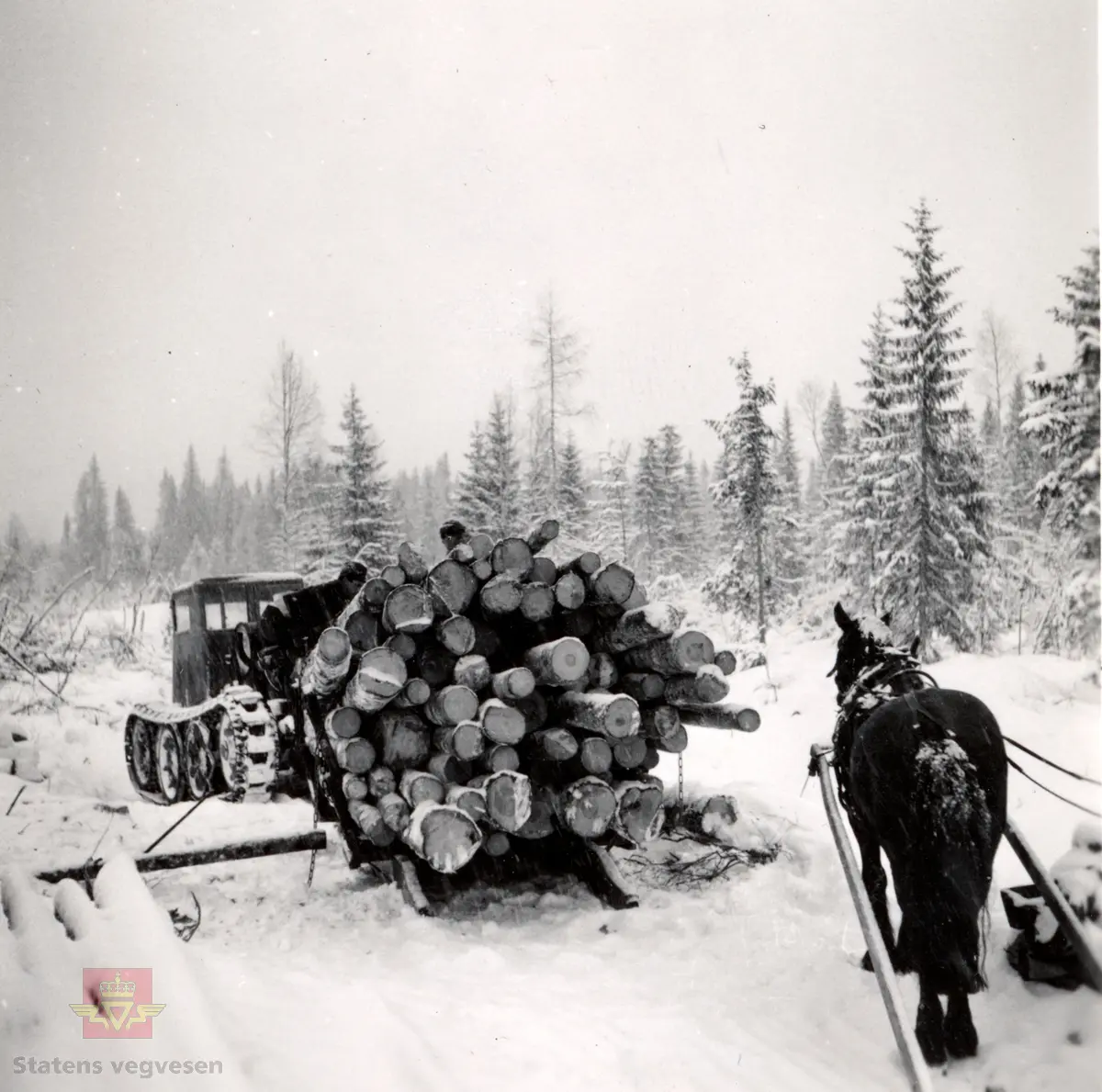 Beltebil Og Hest Brukt I Tømmerkjøring I Østerdalen 1952 - Norsk 