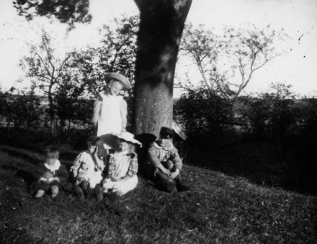 Fem barn samlade under ett träd.