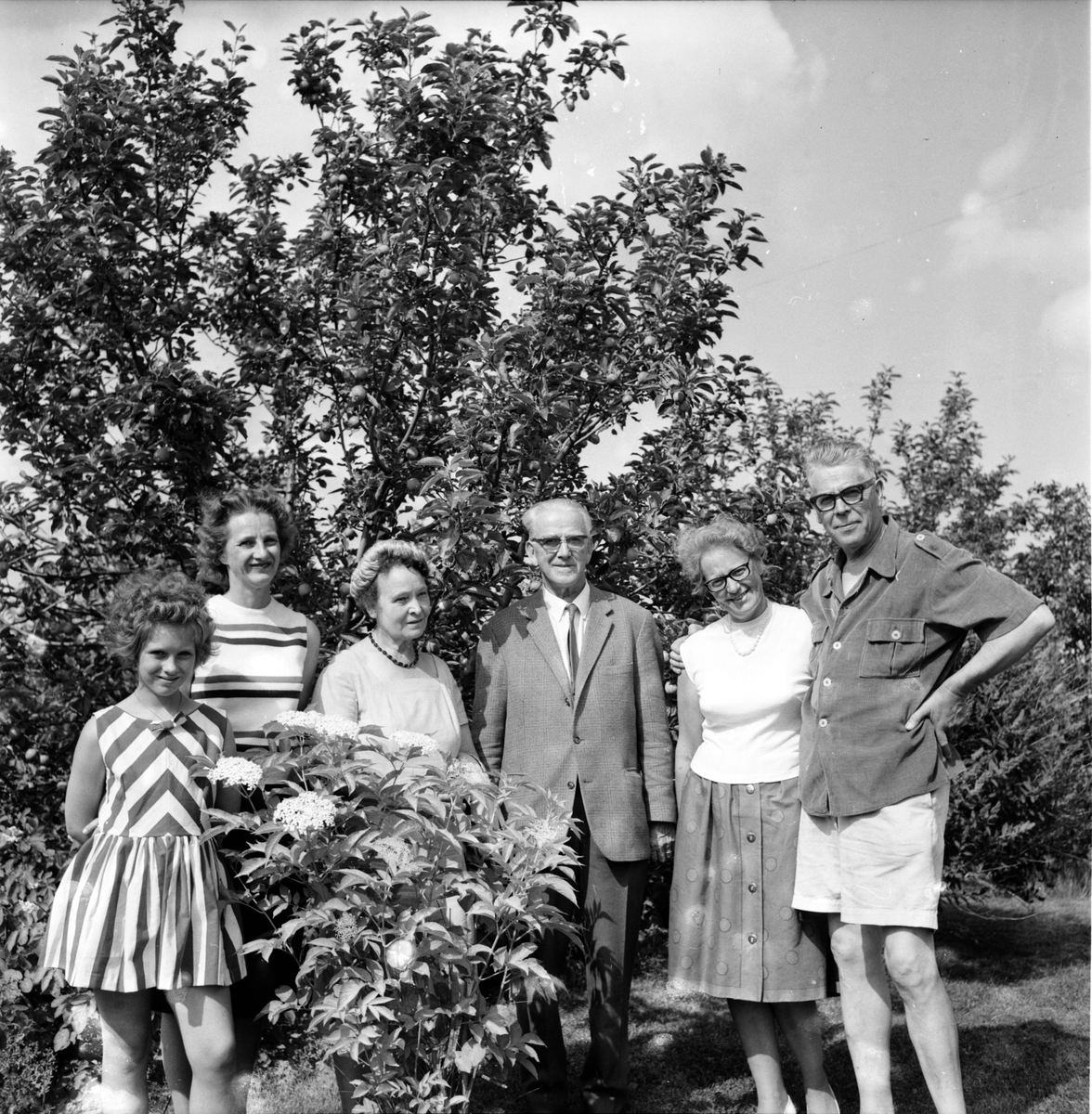 Wasabarn fr. USA,
Mrs Eva Rae Briscoe, Portland, Oreg.
Anna & Ruben Haglund Södertälje,
9 Augusti 1964