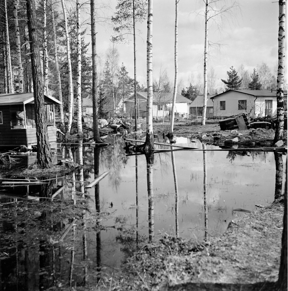 Granberg,
Lortgrop på Dalavägen,
5 maj 1967