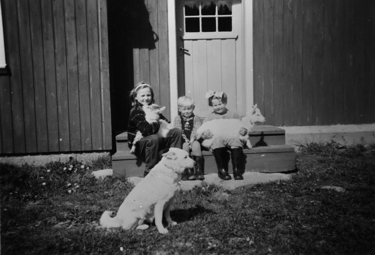Barn og hund foran seterstue