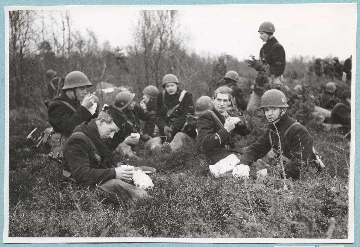 En grupp uniformsklädda soldater med hjälmar på huvudet sitter bland den lågväxande vegetationen och äter en måltid. I bakgrunden syns skogen.
