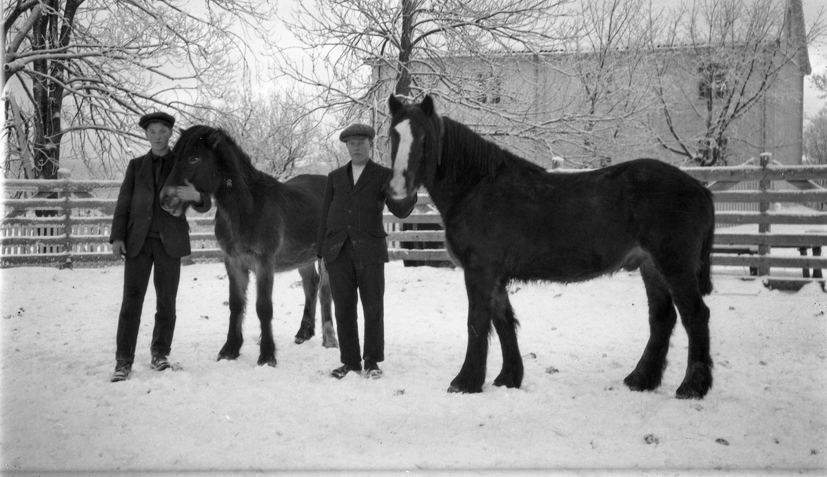 Tre bilder av unggutter med hver sin hest. Stedet er muligens Slagsvold, Østre Toten. Gutten til venstre på bilde nr.2 er trolig Arne Martinsen Sanden. Den andre kan muligens være broren Thore, men det er mer enn usikkert.