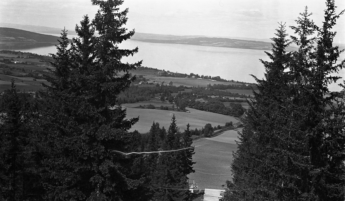 To landskapsbilder fra Totenvika, Ø.Toten, ca. 1930. Det ene mot Nord-Øst, det andre mot Syd-Øst. Fotografens standplass synes å ha vært ovafor Taralrud-gårdene.