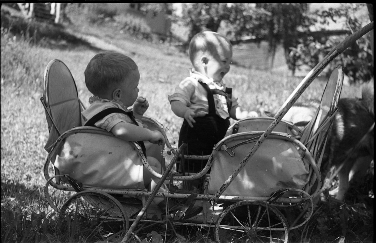 Portrett av tre små barn sommeren 1942. Serie på sju bilder der plasseringen er litt forskjellig. Den med mørkest hår er Terje Balke fra Balke Vestre, de to andre tvillingene Knut og Jan Ørud fra Ørud.