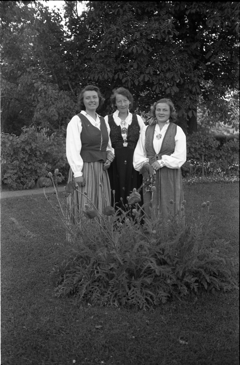 Helfigurs portrett av tre kvinner tilhørende personalet ved Toten Offentlige Skole (Rogneby). I midten antatt Frk. Laake, til høyre Frk. Gerhard. Den tredje er ukjent.