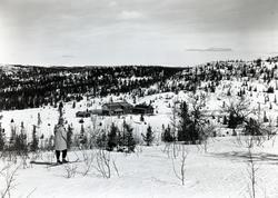 Sørbekkseter Fjellstue