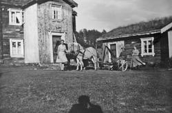 Hest og slåmaskin, klar til å slå. Fra v. : Olga Berg, Per J