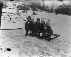 (Eske merket "Barna Namsos")