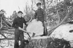 To gutter med økser og stort tre