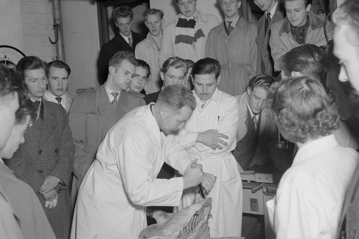 Elever fra Kokkeskolen på omvisning hos slakter Joh. O. Helgesen