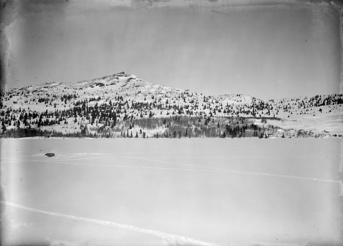 Feforkampen, Panorama set fra vandet, 12.03.1914, fjell, islagt vann, grantrær