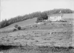 Garden Tande, Tretten