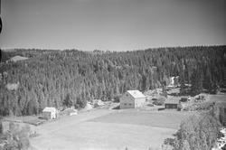 Ukjent gård ved skog og vei, Øyer, jordbruk, blandingsskog