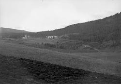 Parti fra Meisingset på Nordmøre