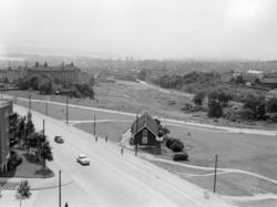 Torshovdalen park. Juni 1953