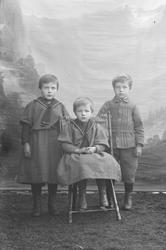 Portrett. Tre barn, en gutt, to jenter. Sogneprest Heggenhou
