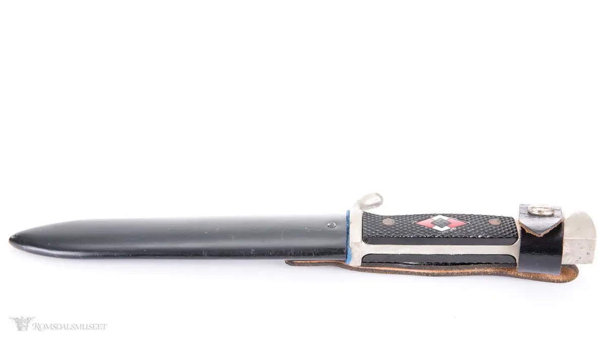 Diamantformet emblem med 2 røde og 2 hvite felter med hakekors i sort på mørk grønn bakgrunn. Scimitar med krone over på bladet.