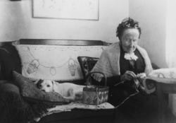 Stousland, fru Hedvig Ibsen (dikterens søster).