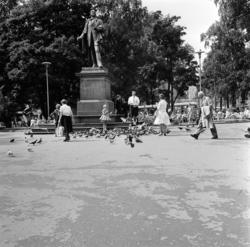 Studenterlunden. Juli 1961